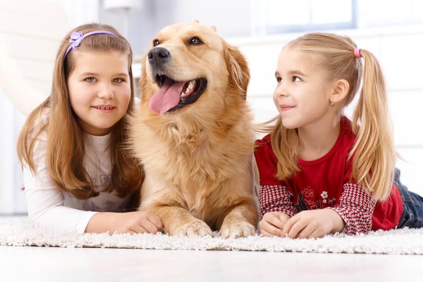 Little sisters and dog at home