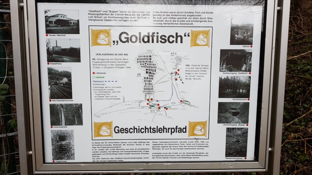 Goldfisch